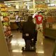 Illustration for article titled Presenting Your Ryan Howard At A Food Store In A Motorized Scooter Photoshop Roundup